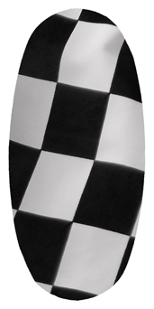 DASOV 341 Checkered Flag